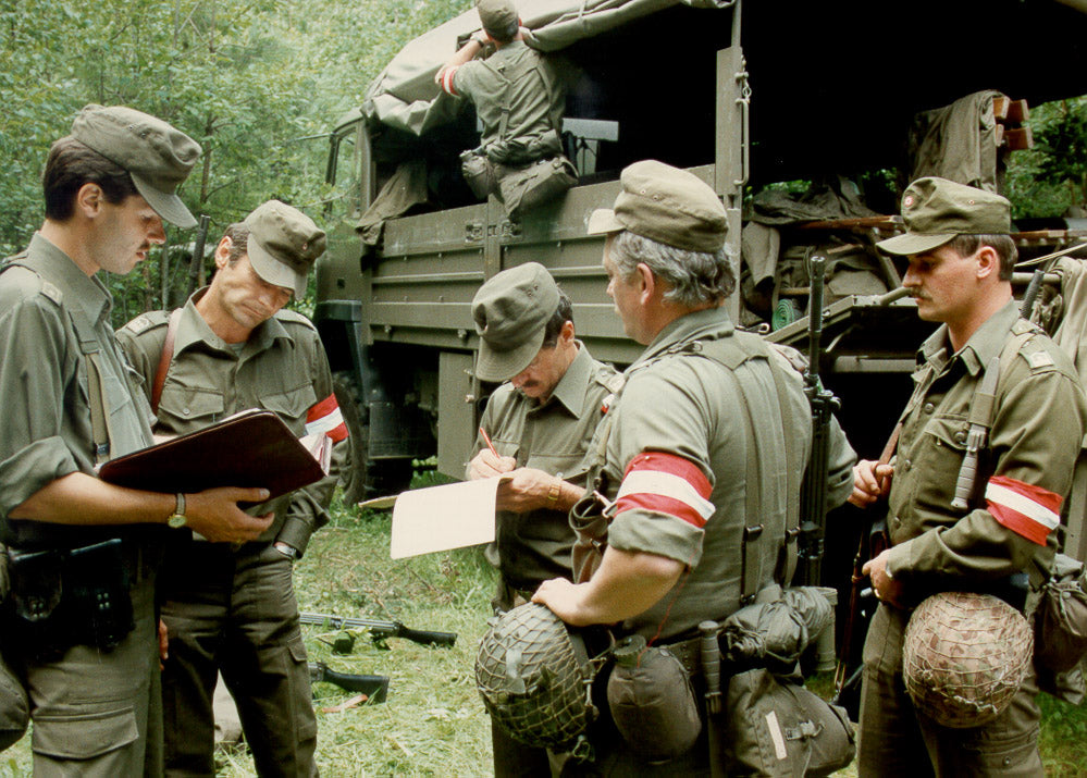 This Isn't Green: Austrian RAL 7013