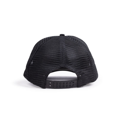 Stealth Unveiled Nighthawk Anniversary Classic Hat