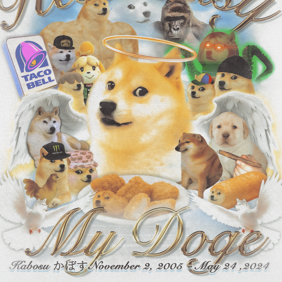 RIP Doge Tee - Ltd. Edition