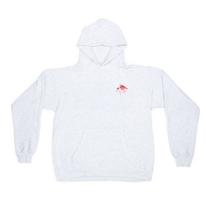 A-10 Warthog Atamonica Bundle