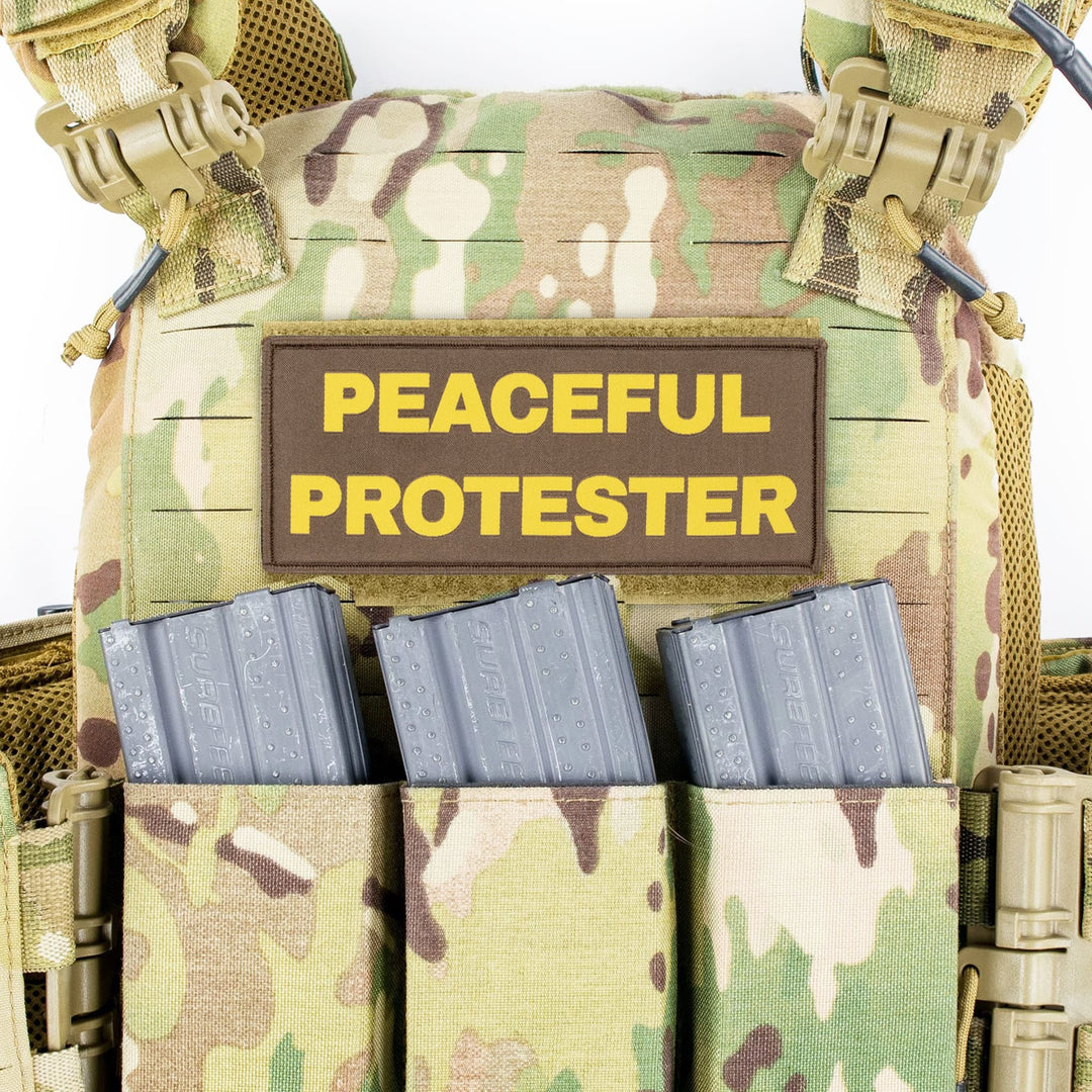 Peaceful Protester Completely Reprehensible Admin Patch [S01]
